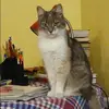 Отзыв от Лена Алешина
